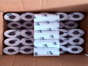OEM Branding and Export Cartons (1)