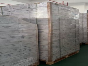 OEM Branding and Export Cartons (2)